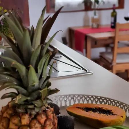 Vina Camello Buenavista Del Norte