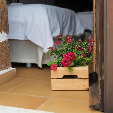 Vina Camello بوينافيستا ديل نورتي