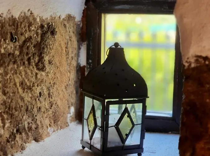 Vina Camello * Buenavista Del Norte