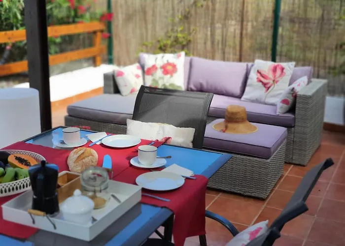 Vina Camello Buenavista Del Norte