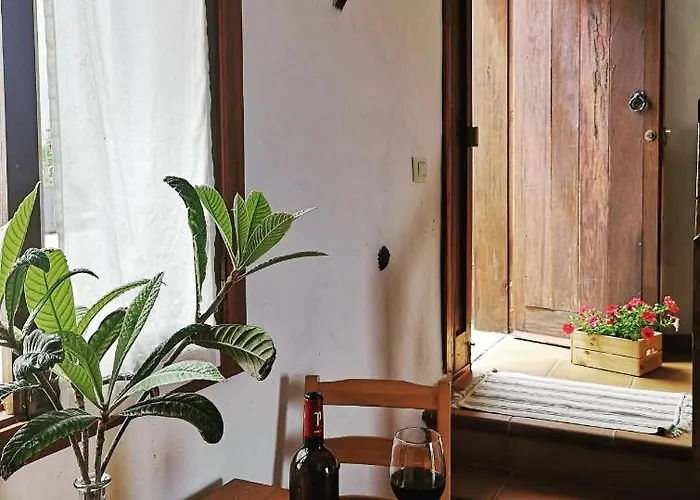 Vina Camello Ferienhaus *