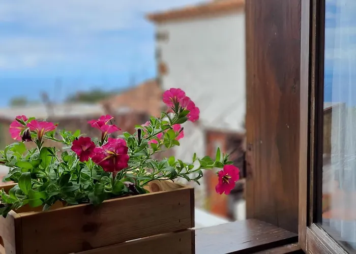 Vina Camello * בואנה ויסטה דל נורטה