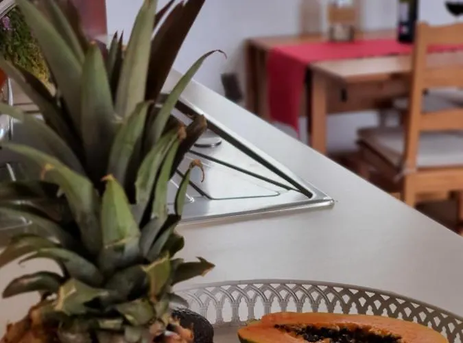 Vina Camello בואנה ויסטה דל נורטה