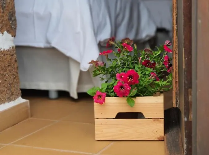 Vina Camello בואנה ויסטה דל נורטה